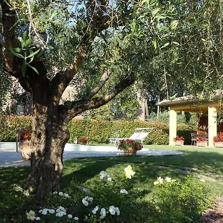 Casa Olivo Marsciano